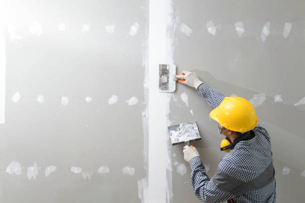  Grantsburg, WI Mold Removal Pros