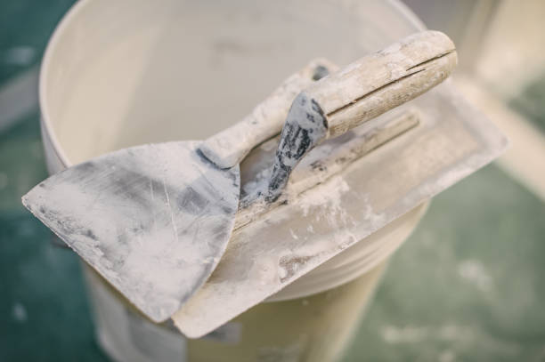 Best Mold-Related Health Consultation  in Grantsburg, WI