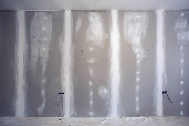 Best Basement Mold Removal  in Grantsburg, WI